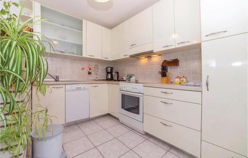 Apartment Tribalj III