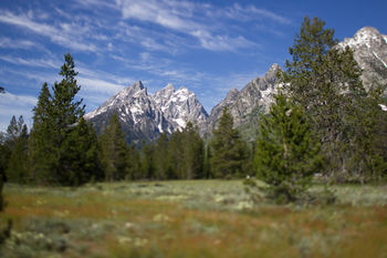 Jenny Lake Lodge