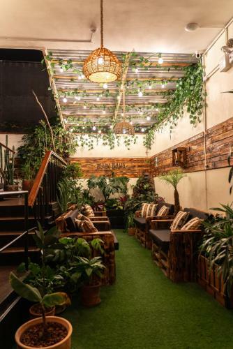 Black Llama Hostel
