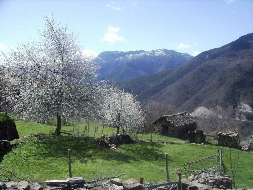 Apartamentos Ordesa Natura