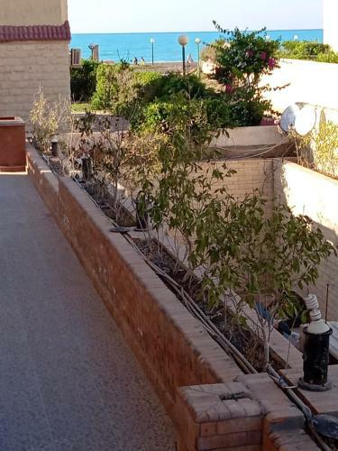 Apartamento 1ch1 Studio 2beds Ground Floor Sea View 114 Green Beach