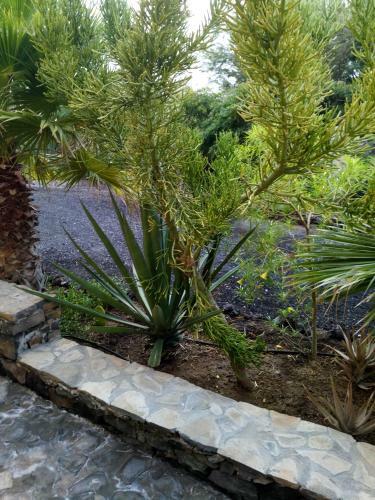 Bed & Breakfast Chambre Ind�pendante