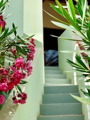 Apartamento Porto Antigo - Sal&love
