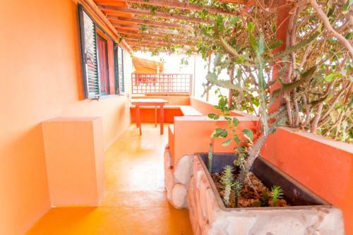 Bed & Breakfast Surfactivity Guest House