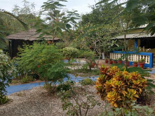 Arijana - Just Heavenly - Nr. 1 Garden Villa