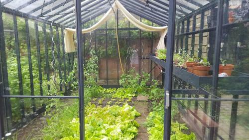 B&B Eenvoud In Overvloed