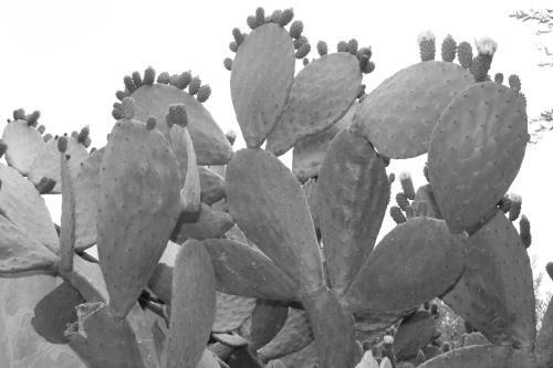 Albachiara Bed & Breakfast