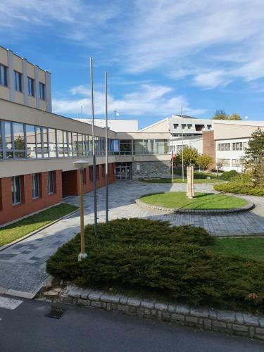 Apartmany U Lva