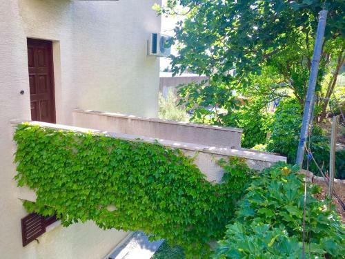 Apartment Martinovic