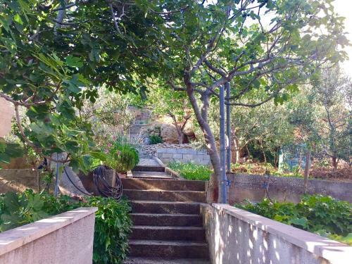 Apartment Martinovic