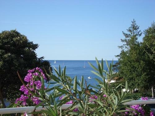 Apartamento Villa Vanda