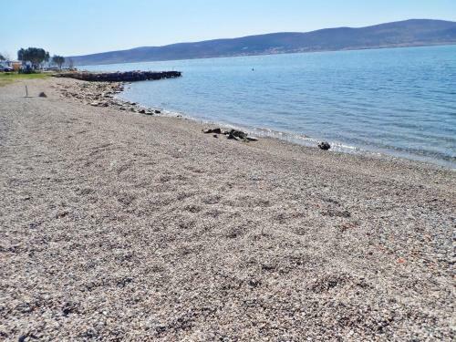 Apartment And Rooms Jaz-100 M From Pebble Beach