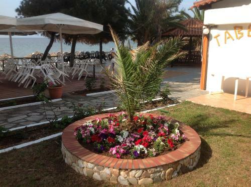 Hotel Porto Matina