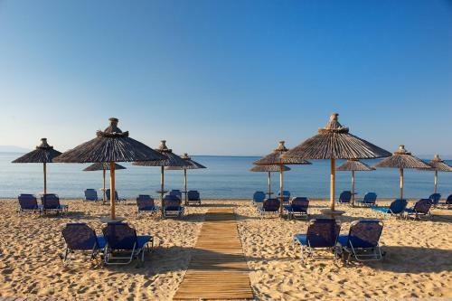 Blue Dolphin Hotel