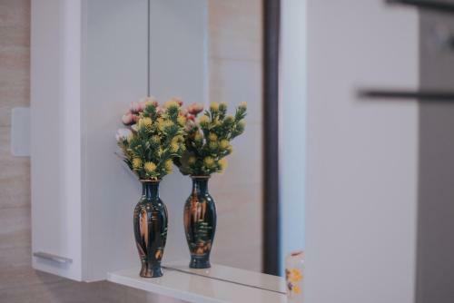 Apartment Patricia