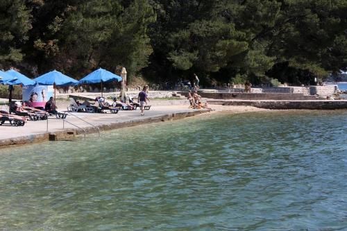 Apartments With Wifi Palit, Rab - 15365