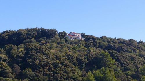 Apartment Ammirare Rab