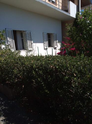 Apartments Suha Punta - Crnic