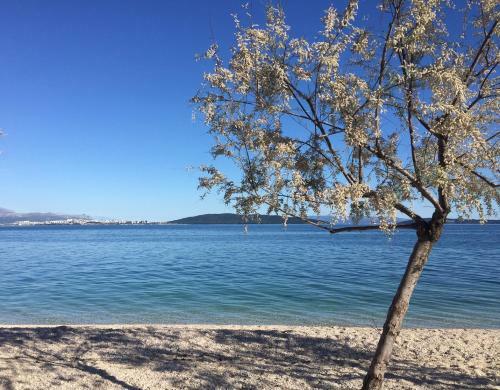 Apartamentos Historical House Few Meters From The Beach