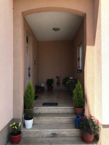 Apartment Aurora
