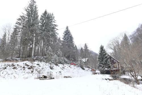 Cabana Satic Piatra Craiului La Doi Viermi