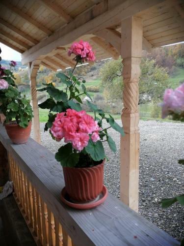 Hostal Pensiunea Plai Strabun