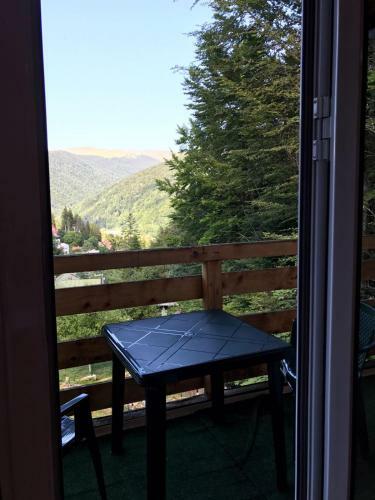 Villa Vila Sinaia Private