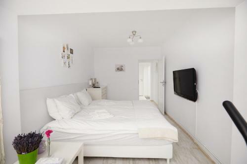 Vama Apartment