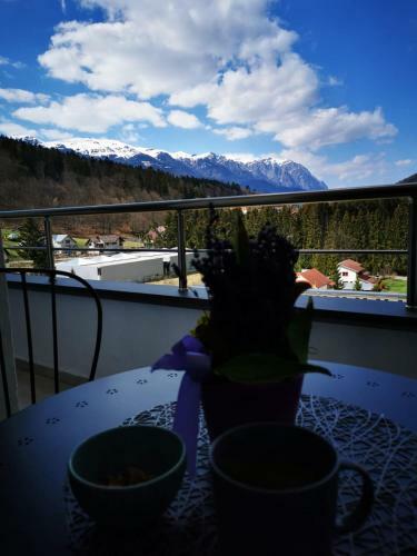 Apartamento Bucegi View 39 - Colina Marei