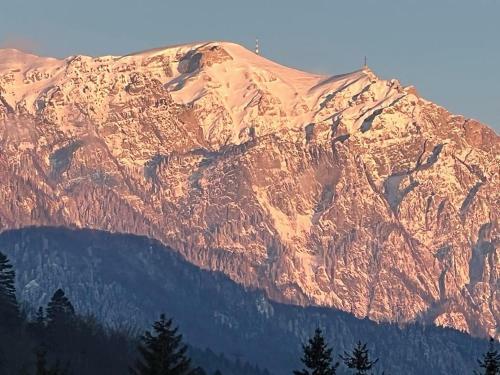 Apartamento Coca Studio Mountain View