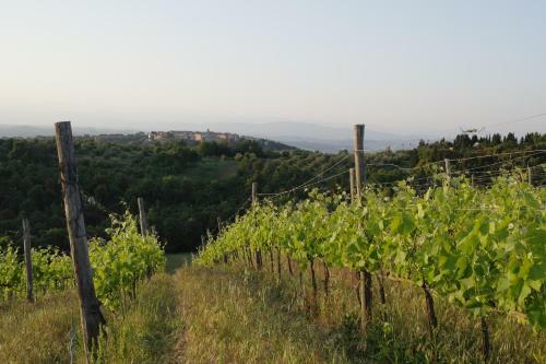 Apartamento Antico Casale Montaione