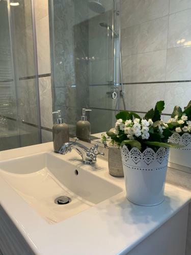 Hostal Luxe D'or