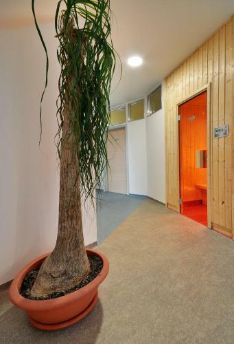 Hostal Wellness Penzion Krom??�? - Zlobice