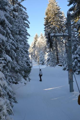 Apartamento Skiapartma - ?�?ky V Orlick�ch Hor�ch