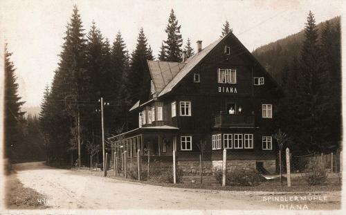 Hotel Diana