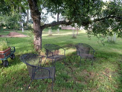 Apartamento Haus Wald Und Wiese Wohnung Wiese
