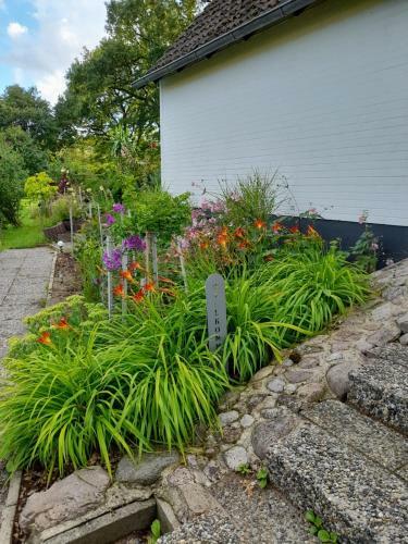 Apartamento Haus Wald Und Wiese Wohnung Wiese