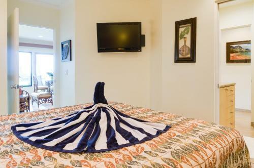 Apartamentos Hale Napili