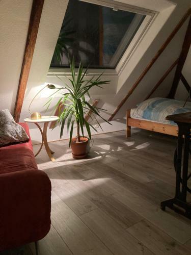 Apartamento Privates Appartment Ferienwohnung Im Einfamilienhaus