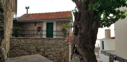 Villa Grandpa's Dream