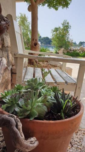 Stonehouse By The Sea Zmorac