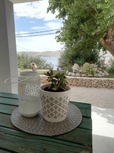 Apartmani Lucika