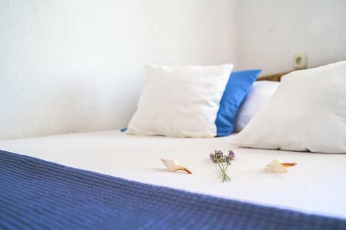 Holiday House Alma