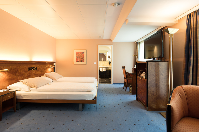 Hotel Engimatt