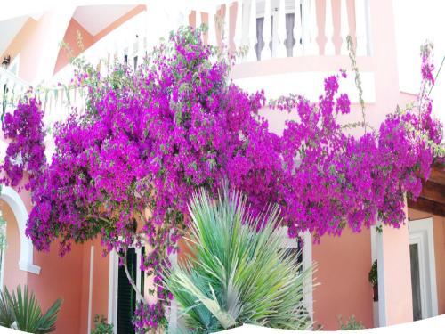 Apartamento Villa Sabella