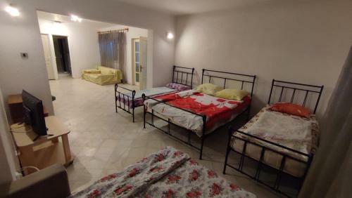 Apartamento Vila Mirage -cazare Muncitori, Group Accommodation Ploiesti