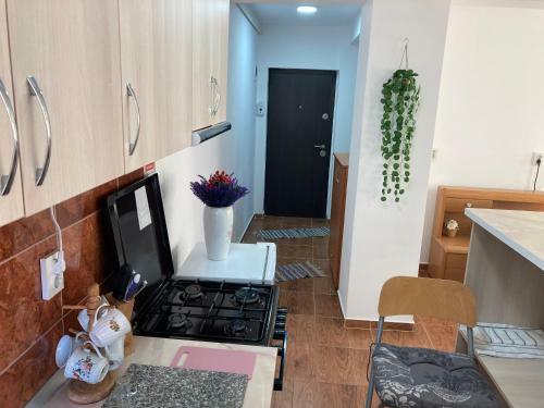 Apartament Select