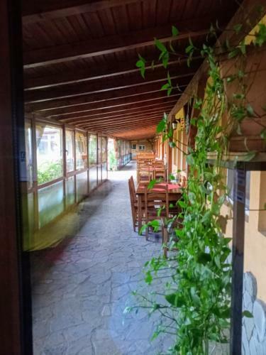 Hostal Natural Balkanic Selfcheckin Self-catering