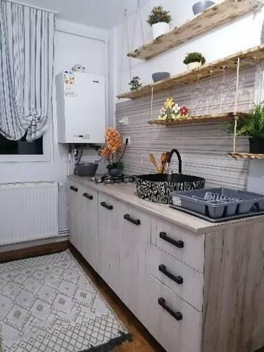 Apartamento Garsoniera Anca