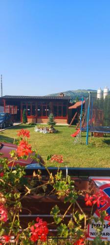 Lodge Popas Turistic Terasa Europa